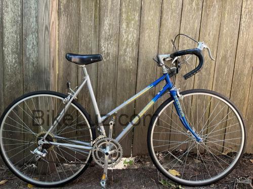 Schwinn World Sport ficha tecnica